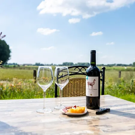 Bed & Breakfast Alemsche Waard 4*