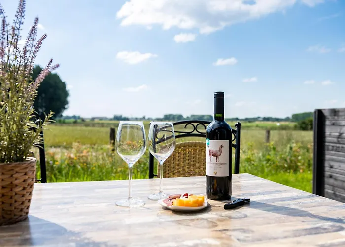 فندق مبيت وإفطار Alemsche Waard 4*